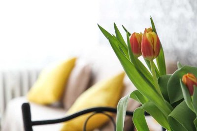 IHR GEMÜTLICHES ZUHAUSE ! Großzügige 3-Zi-Whg, 95 m², Balkon, Bergblick, Chiemsee & Alpen