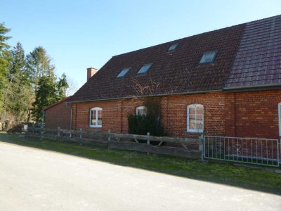 Großes Bauernhaus für Pferdeliebhaber in Rumpshagen