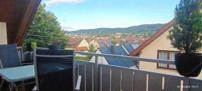 Über den Dächern - offener Kamin - vollumfänglich modernisiert