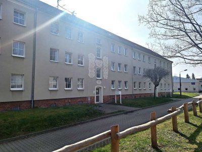 Grünes Weinhübel - Frisch sanierte Dreiraumwohnung wartet auf Sie!