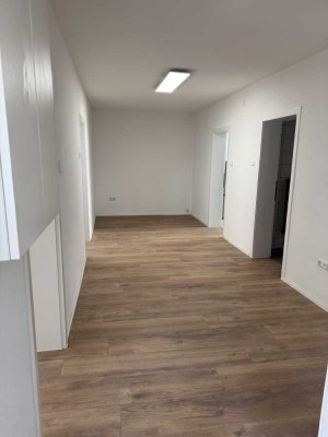 Vollständig renovierte 4-Zimmer-Wohnung mit Balkon in Ulm
