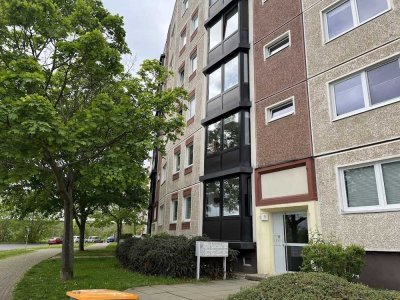 Neuer Bewohner im Grünen gesucht