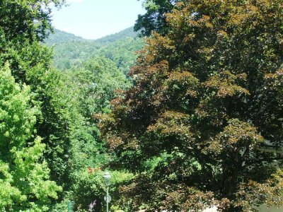 2-Zimmer Wohnung  in Bestlage       PROVISIONSFREI