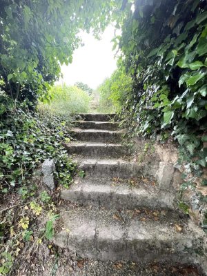 Bruchstein-Winzerkeller mit großem Ausbaupotential -eigener kleiner Weinberg-wunderschöne Aussicht