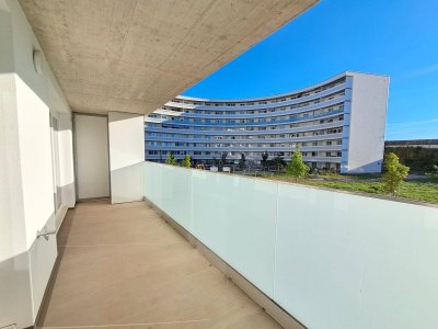 WEINZIERL XIII B - 21