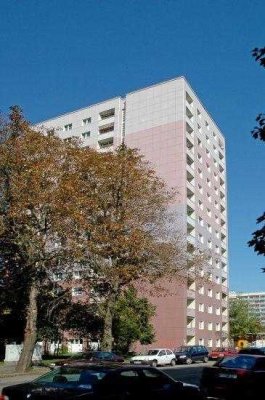Geräumige 2-Raum-Wohnung in Dresden-Johannstadt