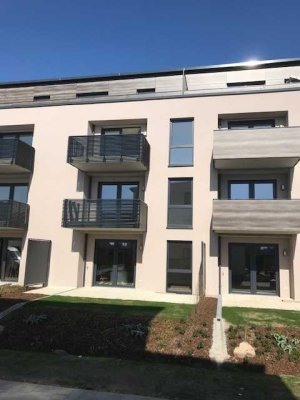KFW55 mit EBK und Balkon:  2-Zimmer-Wohnung in Grenzach-Wyhlen