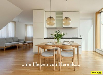 Erstbezug | Große Fenster | Fußbodenheizung | Tischler Möbel