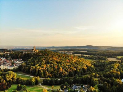 schöne, große 4 Zi. am Kurpark/Woogtal in Königstein + Garten