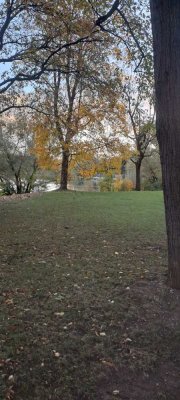 Neu renovierte 2 Zimmer Wohnung