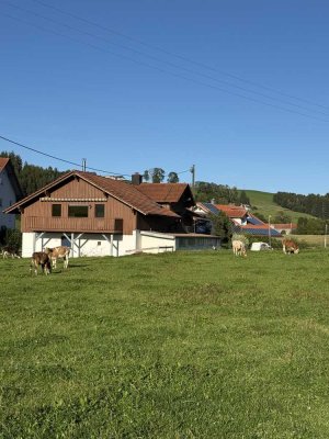 Freistehendes Einfamilienhaus mit Werkstatt & Doppelgarage – Wohnen & Arbeiten auf dem Land