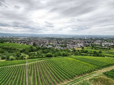 Für Kapitalanleger - 2-Zimmerwohnung in Panoramalage in Haltingen -