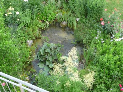 Mammendorf - Helle 2,5 Zimmerwohnung plus Wohnküche 73 qm - Balkon