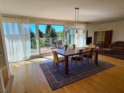 MÖBLIERTE TERRASSENMIETE MIT TOLLEM WIENBLICK UND BLICK INS GRÜNE