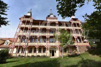 *400 m² eigener Garten - Luxus-Schloss mit Fernblick inmitten der Weinberge von Oberlößnitz* Altbau