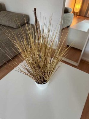 Stilvolle 1-Zimmer-Wohnung mit Balkon und Einbauküche in Hamburg Fuhlsbüttel