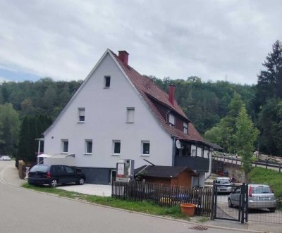 Schönes großes 3-Familienhaus in Ilshofen-Oberscheffach - EBK - Terrasse - Garten