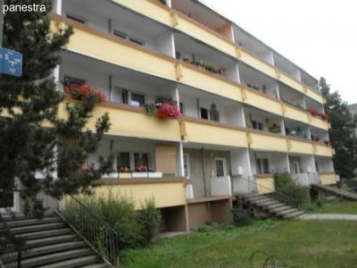 3 Raum-Wohnung im Erdgeschoss