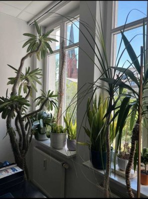 Seltene Gelegenheit - Moderne 4 Zimmer in Bestlage !!