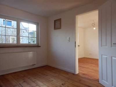 Ansprechende frisch renovierte 2-Zimmer-Wohnung mit Einbauküche in Groß-Rohrheim