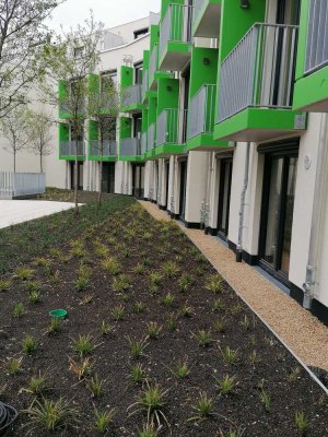 Studentenappartement ab dem 01.09. zu vermieten