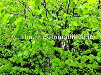 Kuschelige 2 Zimmer Eigentums-/Ferienwohnung in Bad Lauterberg im Harz, ihr Paradies ! ;-)