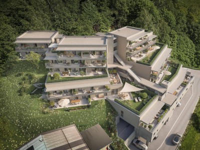 Neubauprojekt · Wiesing am Bühel