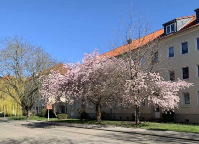 Großzügige helle Wohnung für Einzelpersonen oder Pärchen, Wohnzimmer mit Eckausblick