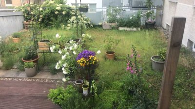 Großzügige 3-Zimmer-Wohnung mit Dachterrasse in Dortmund Innenstadt