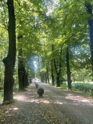 Sie lieben das Ausgefallene?