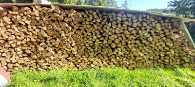 "Endlich Platz für alle!"