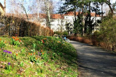 Nahe Brixplatz Westend: bezugsfreies, gepflegtes, teilmodernisiertes, gemütliches Altbauapartment