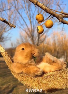 Ostern am Wörthersee: Kurzzeitmiete April 2026