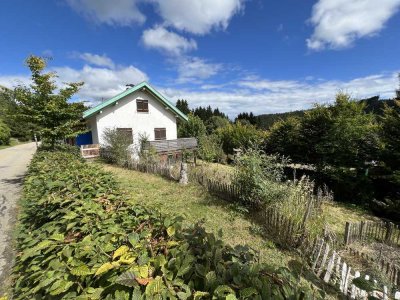 Individuelles EFH Feldberg Falkau,  ca.5 Minuten zum Titisee