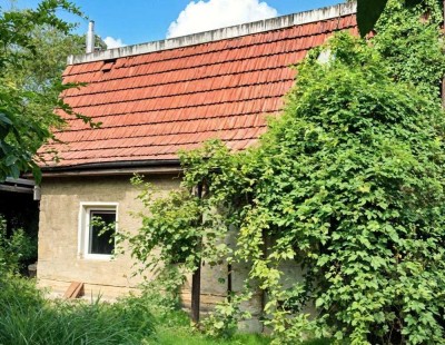 Sanierungsprojekt mit Potenzial: ca. 137 m² Wohnfläche, Pool & Doppelgarage in Berlin-Bohnsdorf