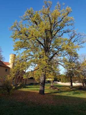 Wohnen im Schloss Petzow  am Schwielowsee 3 Zimmer mit Terrasse