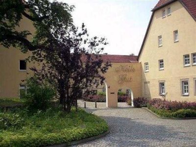 Schöne Maisonettewohnung mit 2 Zimmern & hochwertigem Laminat – renoviert in Wilsdruff