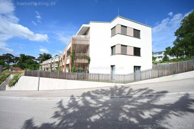 Blick über Eisenstadt: südseitige Loggia/Terrasse, Garage möglich - 5 Jahre befristet
