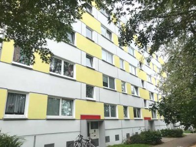 Für ihre kleine Familie