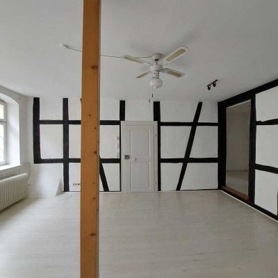 Sanierte 1 1/2 Zi-Erdgeschosswohnung