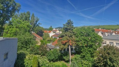 Charmante Eigentumswohnung im 19. Bezirk Wiens mit herrlichem Ausblick über die umliegenden Weinberge!