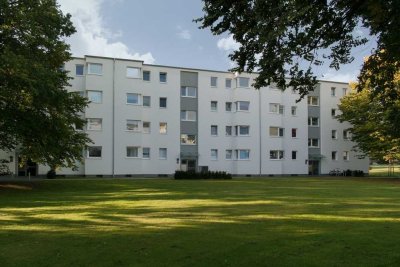 Wohnen auf dem Rabenberg: Lichtdurchflutet und naturnah
