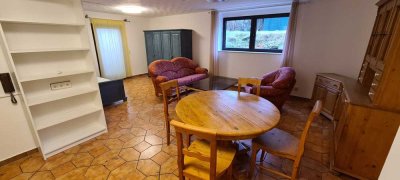 Möblierte 1 Zimmer Wohnung in Mühlheim am Main