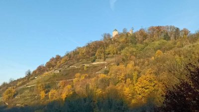 ***Außergewöhnliche 3-Zimmer Wohnung in Heppenheim mit Blick auf die Starkenburg***