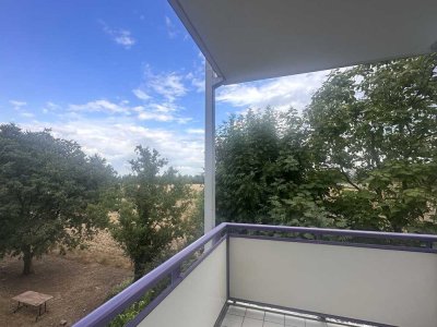 Exklusive 3-Zimmer-Wohnung mit Balkon in Ludwigshafen