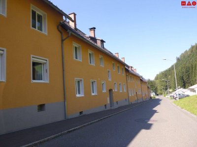 Neu sanierte 3-Zimmer Wohnung im schönen Eisenerz!