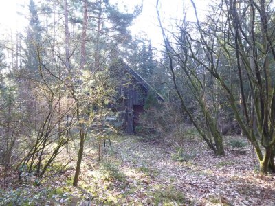 Winsen/Aller OT Thören im Wald-Feriengebiet