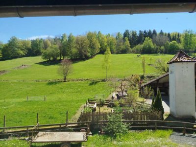 Geräumiges, preiswertes 9,5-Zimmer-Mehrfamilienhaus in Fellen