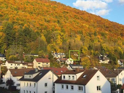 Ruhige Halbhöhenlage am Albtrauf - Mehrgenerationenhaus mit Blick zum Hohenurach