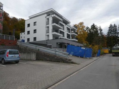 Toller Rheinblick- Helle altengerechte Wohnung im KFW 40 Energiesparhaus in ruhiger Lage im Grünen